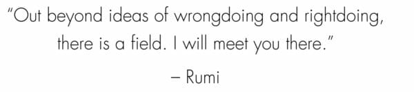 "Out beyond ideas of wrongdoing and rightdoing, there is a field. I will meet you there." - Rumi