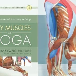 Covers of The Key Poses of Yoga and the Key Muscles of Yoga by Ray Long.